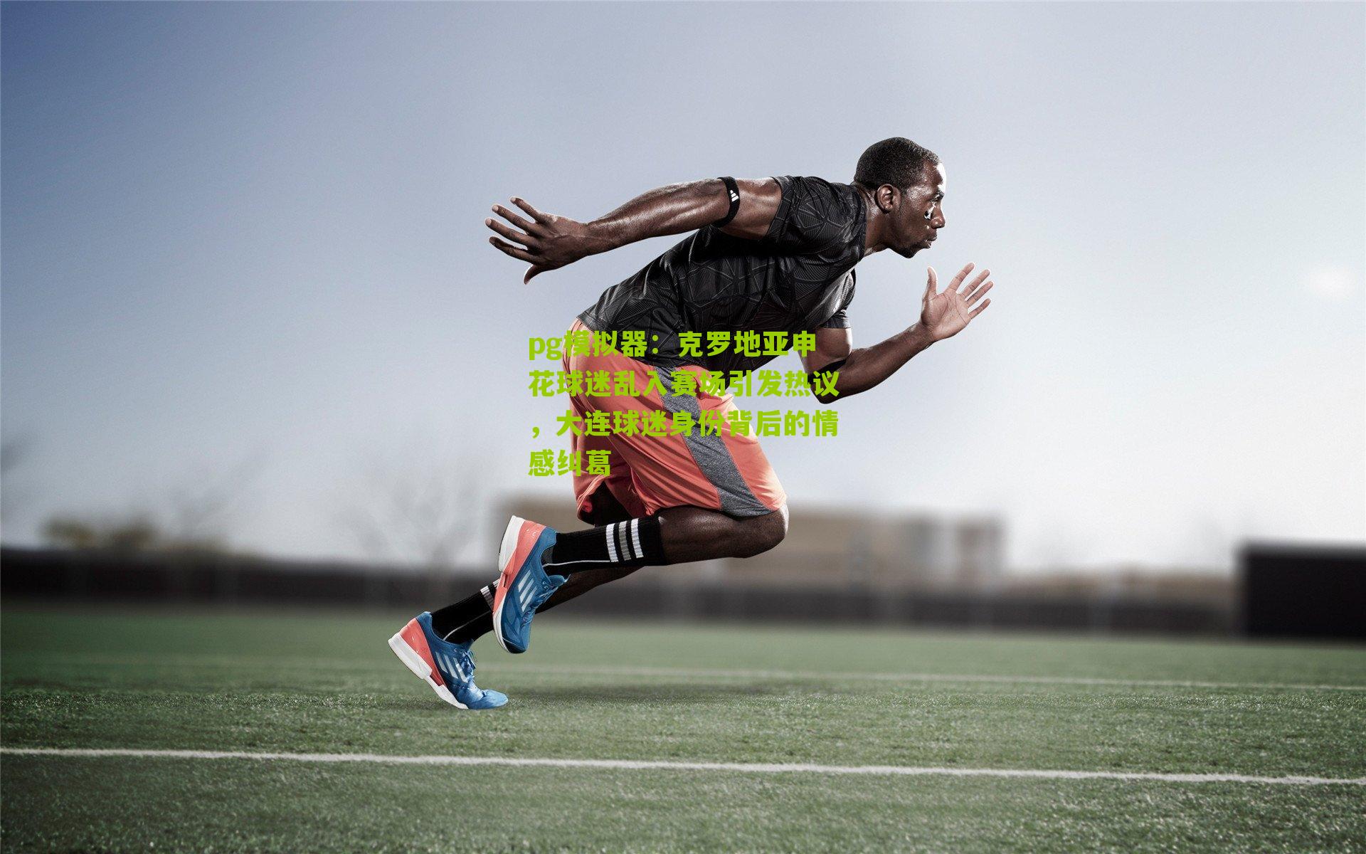 克罗地亚申花球迷乱入赛场引发热议，大连球迷身份背后的情感纠葛