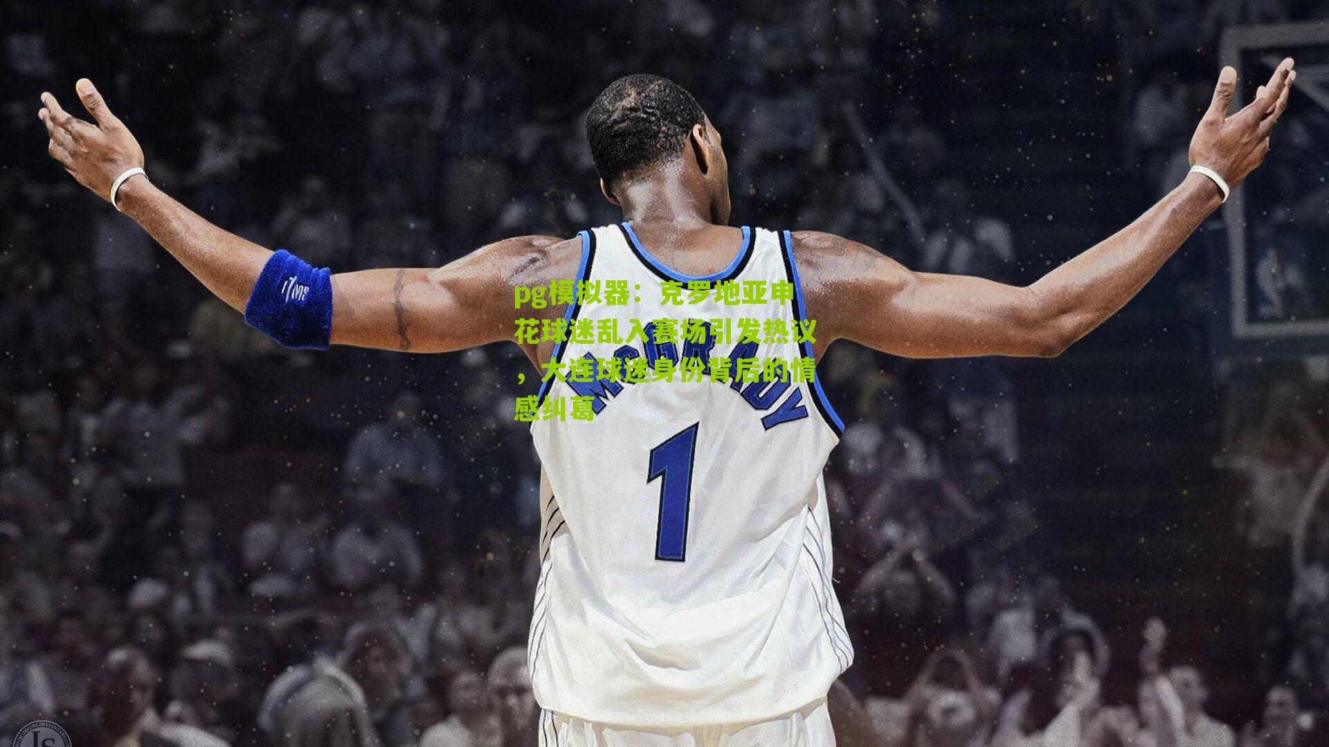 克罗地亚申花球迷乱入赛场引发热议，大连球迷身份背后的情感纠葛